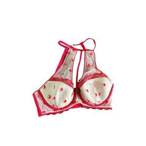 Victoria's Secret Dream Angels Lined Push Up Lace Bra 32DD Red Lace Hearts NWOT